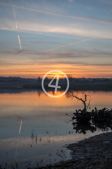 Distant sunrise behind the tree line