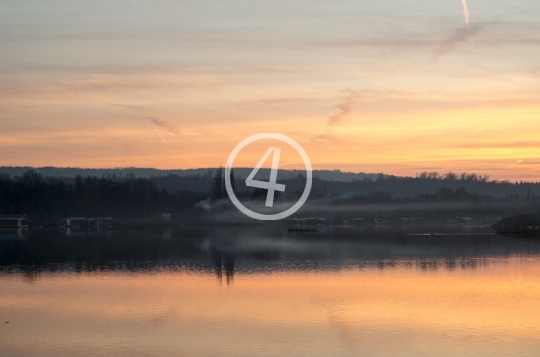 Distant sunrise behind the tree line