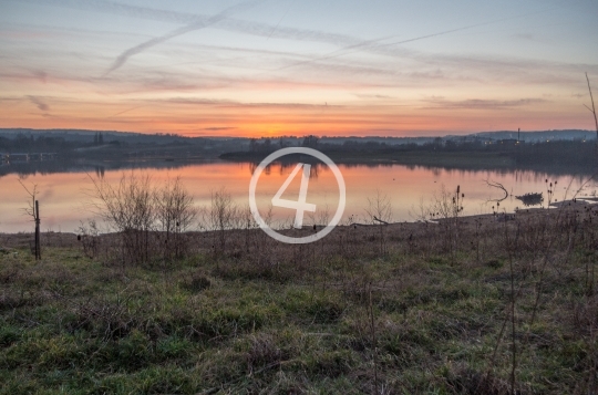 Distant sunrise behind the tree line