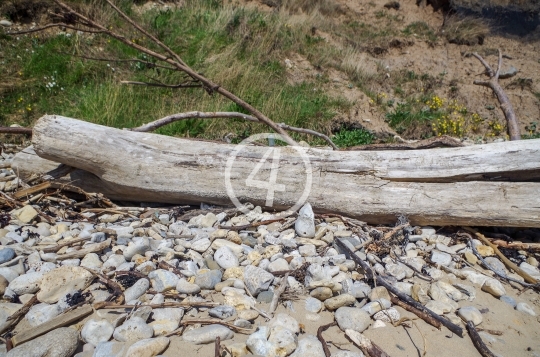 Drift wood 3