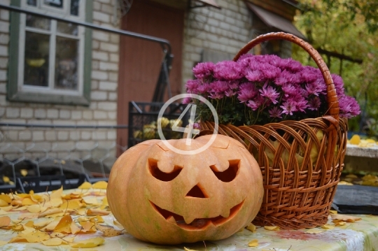 Fall pumpkin