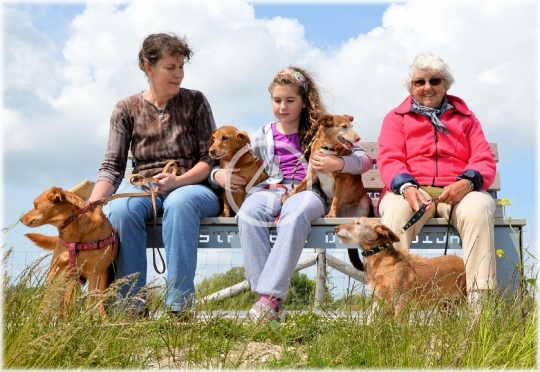 Family bench