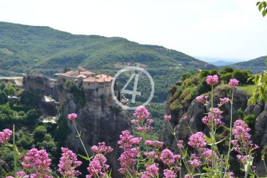 Flowers Greece hilltop