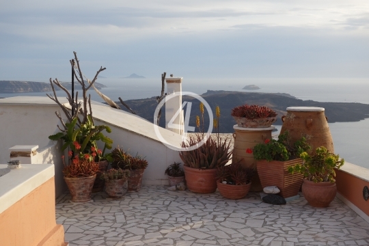 Flowers plants Santorini Greece