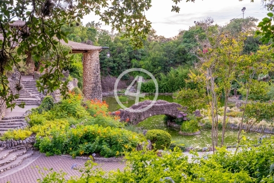 Foliage and pond with bridge