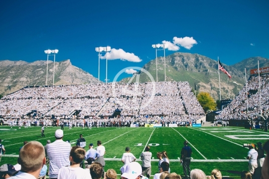 Football crowd 