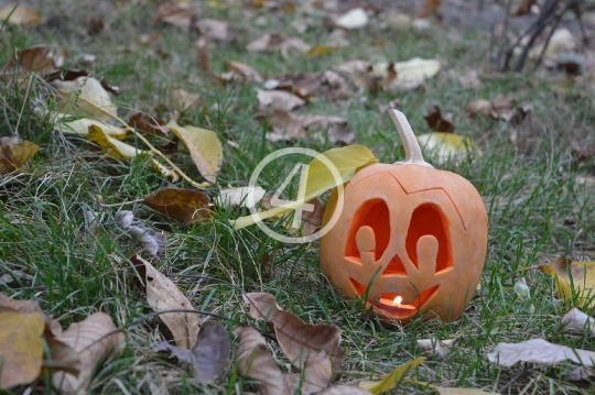 Halloween pumpkin