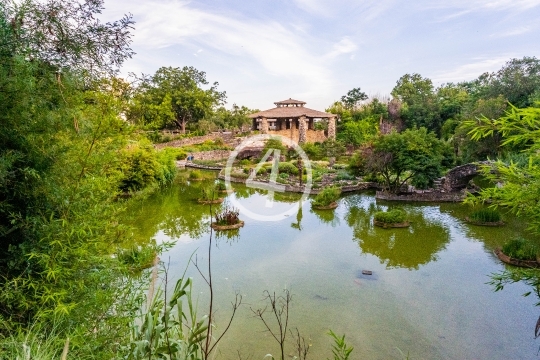 Japanese garden pond view