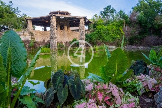 Japanese tea garden and pond