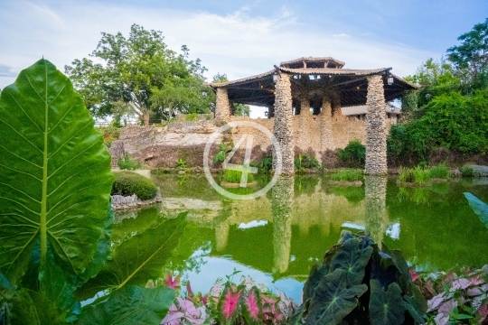 Japanese tea garden at pond level