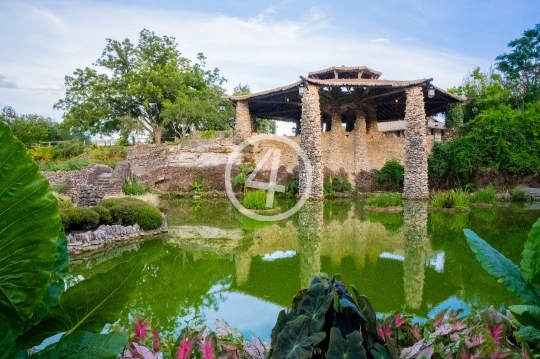 Japanese tea garden water pond 