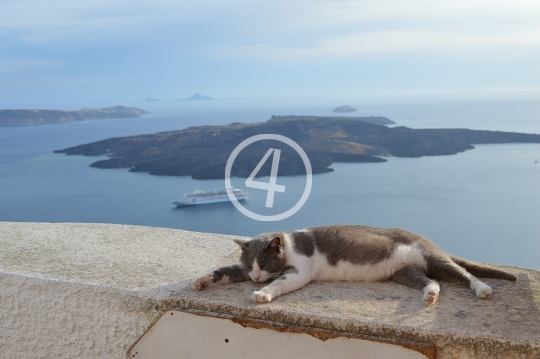 Kitty view Santorini Greece