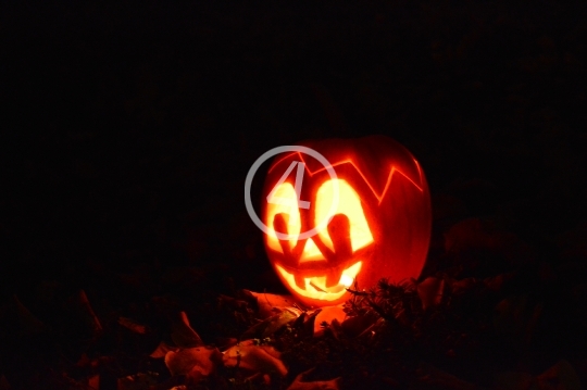 Lite pumpkin