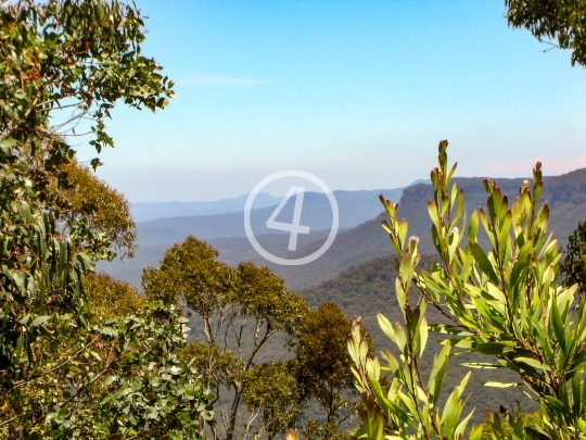 Nature lookout