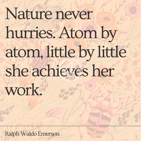 Nature Quotes