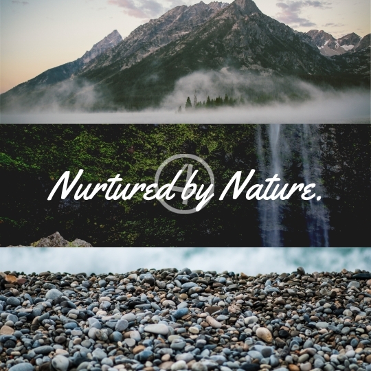 Nature Quotes