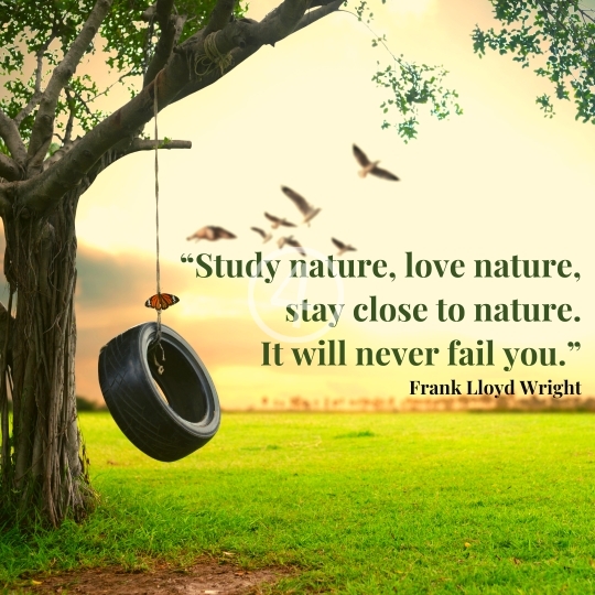 Nature Quotes