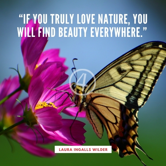 Nature Quotes