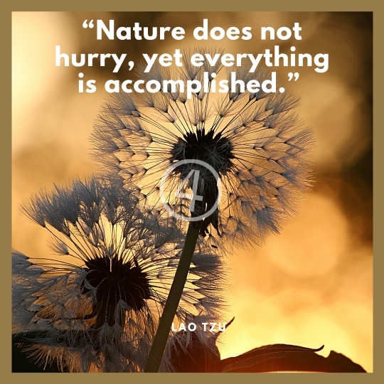 Nature Quotes