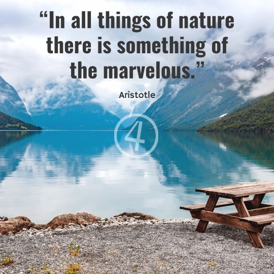 Nature Quotes