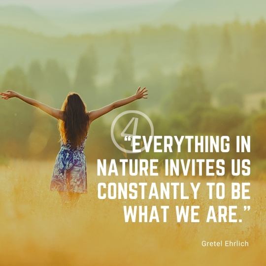 Nature Quotes