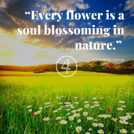 Nature Quotes