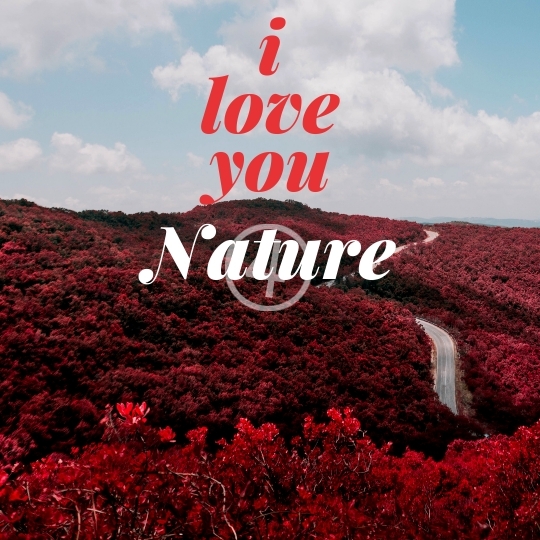 Nature Quotes