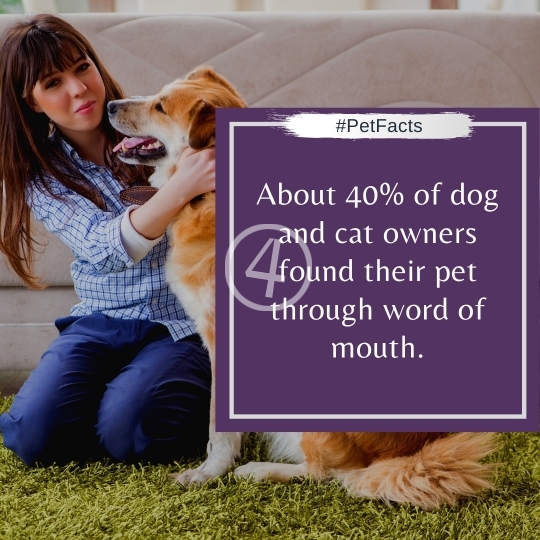 Pet Facts Quotes