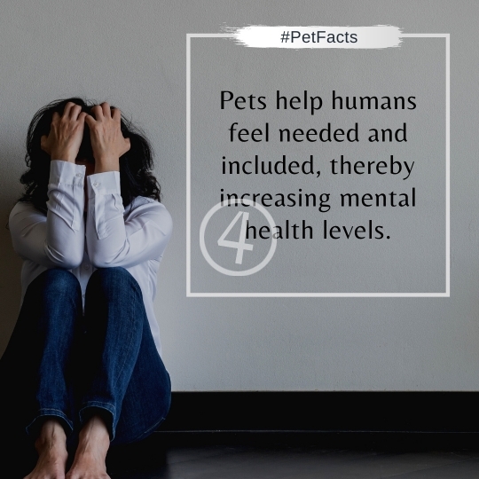 Pet Facts Quotes