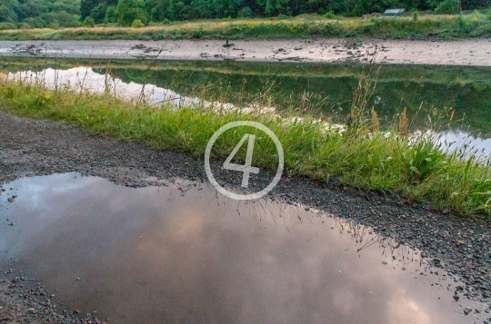 Puddle grass reflection