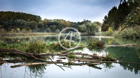 River through nature