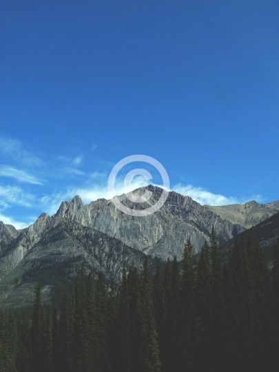 Rocky Mountain in summer