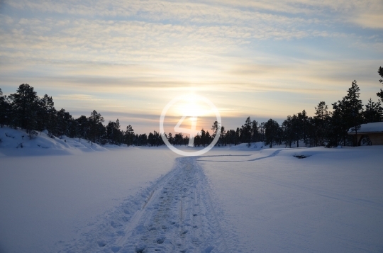 Snow landscape