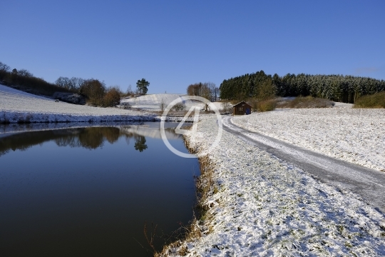 Snow landscape