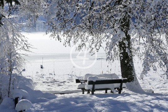 Snow landscape