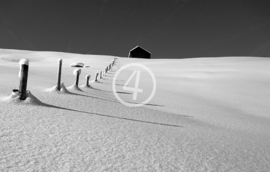 Snow landscape