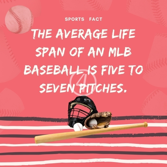 Sports Quotes