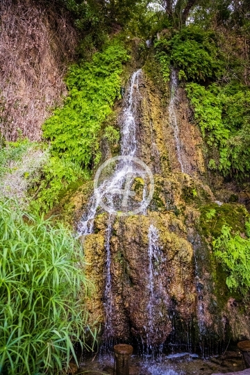 Spring runoff into the pond