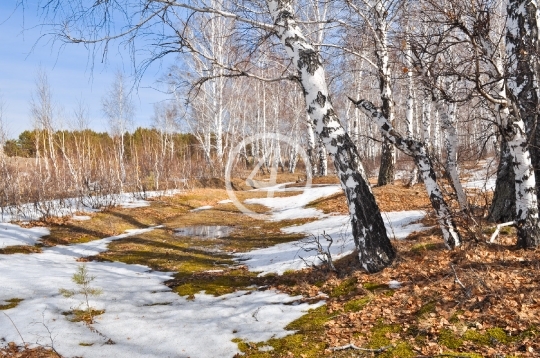 Spring thaw