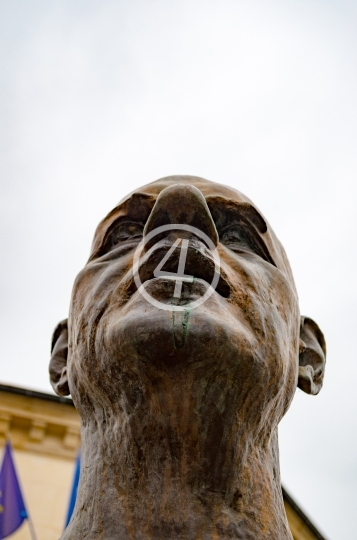 Statue face 1