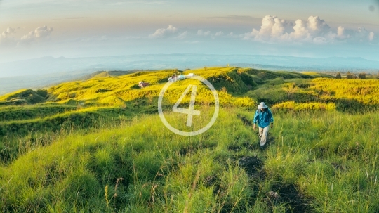 Tambora Mountain - 4