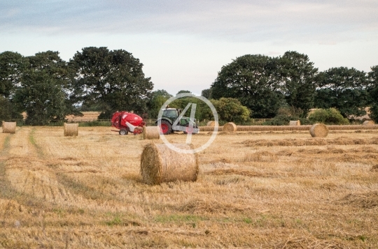 Tractor at play 5