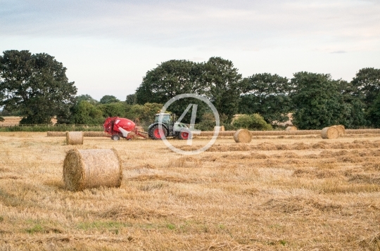 Tractor at play 6