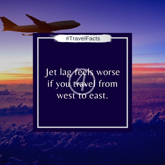 Travel Facts Quotes