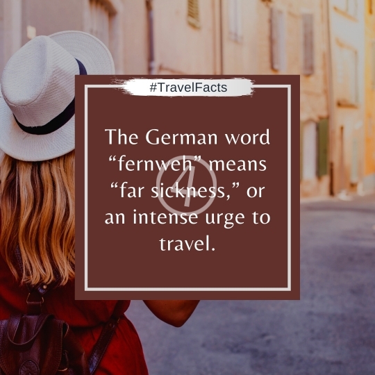 Travel Facts Quotes