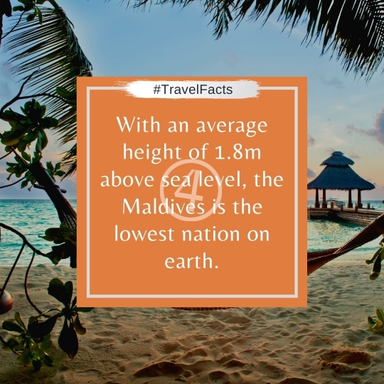 Travel Facts Quotes