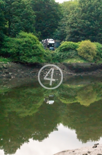 Water tree reflection