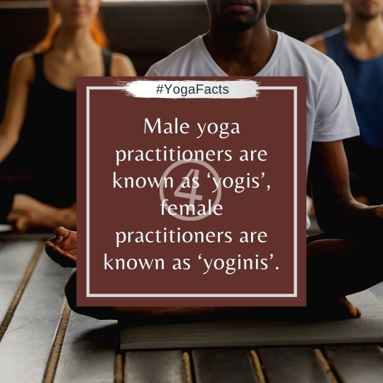 Yoga Facts Quotes