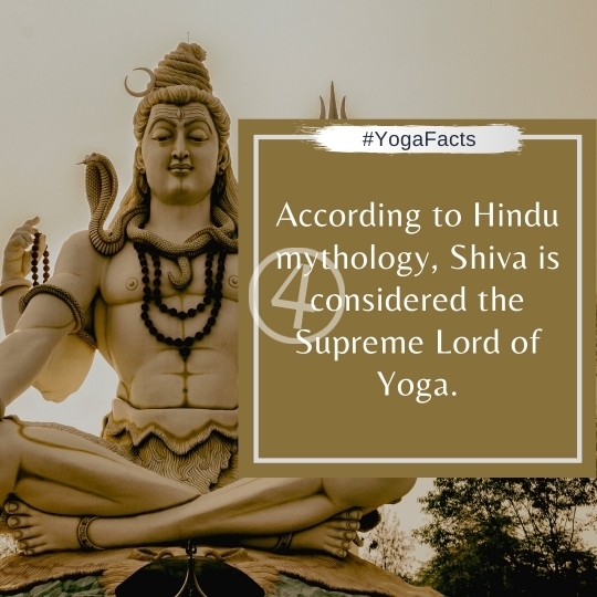 Yoga Facts Quotes