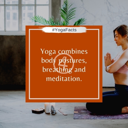 Yoga Facts Quotes